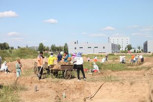 鸿茅药酒事件,当事人近况曝光 鸿茅药酒事件,当事人近况曝光