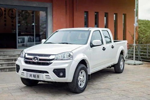 二手皮卡车个人出售(二手皮卡车个人出售信息与价格)