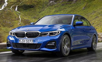 30万的宝马有哪几款(30万左右宝马轿车系列推荐) 30万的宝马有哪几款(30万左右宝马轿车系列推荐)