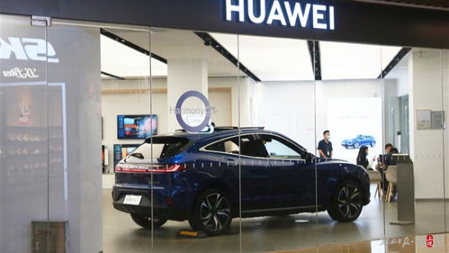 汽车之家2024年最新汽车(最新汽车)