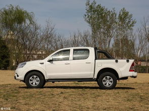 6万左右的皮卡车大全(六万以下皮卡车型推荐) 6万左右的皮卡车大全(六万以下皮卡车型推荐)