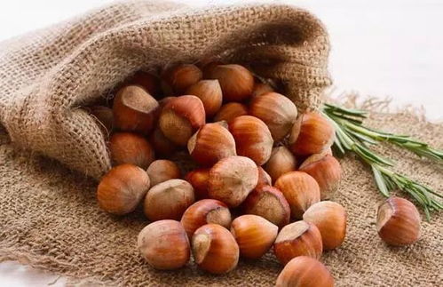 合理食用四种坚果,养生之道吃对不吃错 合理食用四种坚果,养生之道吃对不吃错