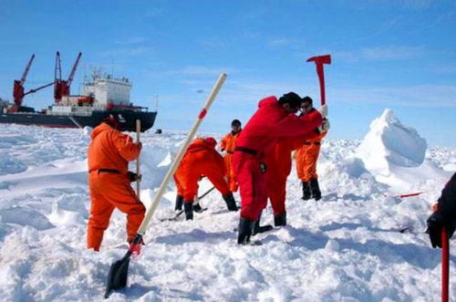 南极科考队员的特殊经历,春晚之夜的选择 南极科考队员的特殊经历,春晚之夜的选择