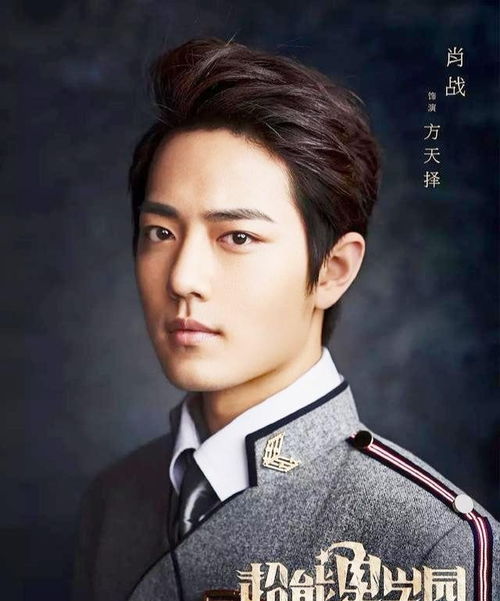 肖战,红温之下的坚韧与蜕变 肖战,红温之下的坚韧与蜕变