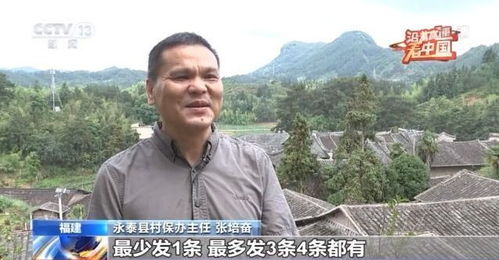 中方敦促美方迅速查明撞机事故原因