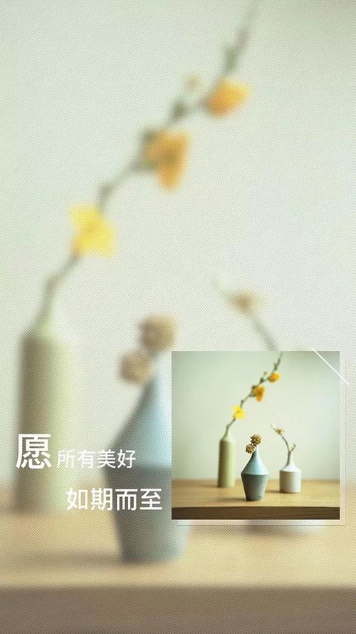 新的一年,外贸人的心愿与期待 新的一年,外贸人的心愿与期待