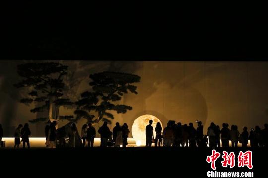 数字艺术风格与流派，探索现代艺术的新疆界