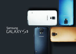 三星S5368报价及市场定位分析