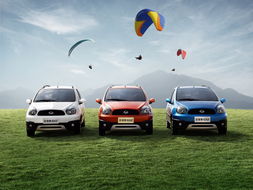 吉利熊猫，绿色出行的可爱使者