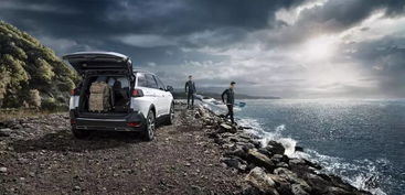 东风标志,历史、象征与未来展望 东风标志,历史、象征与未来展望