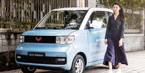 五菱鸿光，微型车市场的璀璨明星