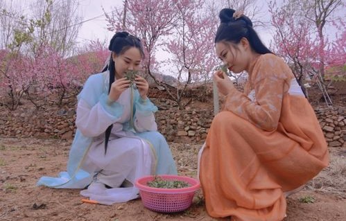 逍遥小书生，百集短剧的魅力之旅