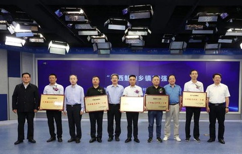 一念霜行——87集短剧的魅力与影响