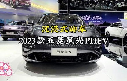2024年五菱最新款(2024年五菱最新款女士)