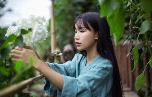 李子柒是否复出？团队回应揭秘