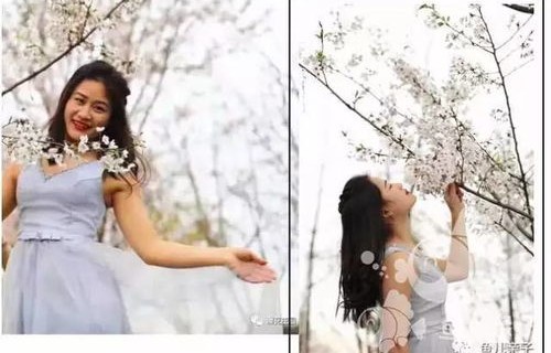 黄圣依情人节浪漫晒花，传递爱的芬芳