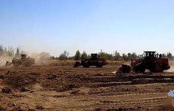 短剧种地致富之路，从农田到首富的87集传奇