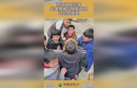 网友放假回家，小狗们热情围观