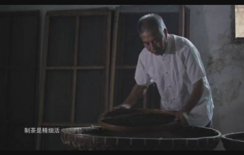 傅总夫人卧轨事件，一部96集短剧的深度解析