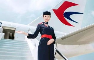 短剧飞上蓝天——张强的空中奇遇与秘密空乘之旅（共100集）