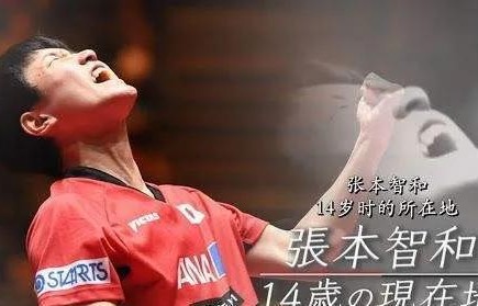 张本智和的淘汰之路