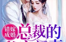 错嫁成婚，总裁的私宠甜妻（长篇共80集）