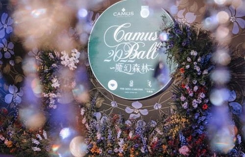 短剧天赐良缘的魅力与深度