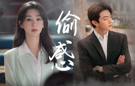 短剧顾总别虐，好好宠——甜蜜的职场爱情故事