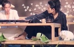 短剧顾律师夫人告你芳心纵火深度解析