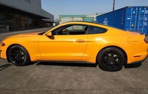 福特野马多少钱(二手福特野马多少钱)