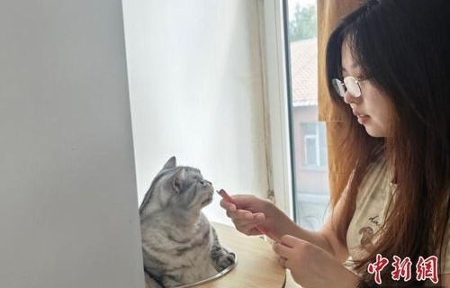 女子上门喂猫服务，一次收费110元，一天服务20家