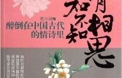 短剧之入骨相思,她不知的98集故事