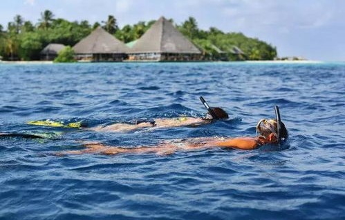 医学博士马尔代夫溺亡，家中独子的悲剧