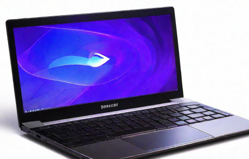 笔记本电脑独显好还是集显好（笔记本电脑是集显的好还是独显的好）