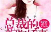 短剧厉总的落跑娇妻不好追——72集的浪漫追逐