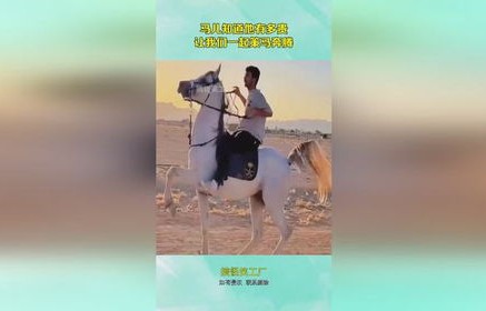 为什么买奔腾的人不多(奔腾为什么那么贵)