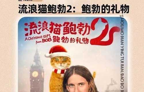 此生一双人，短剧的魅力与69集的精彩