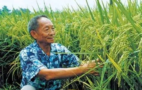 非洲农民眼中的袁隆平，我的老师