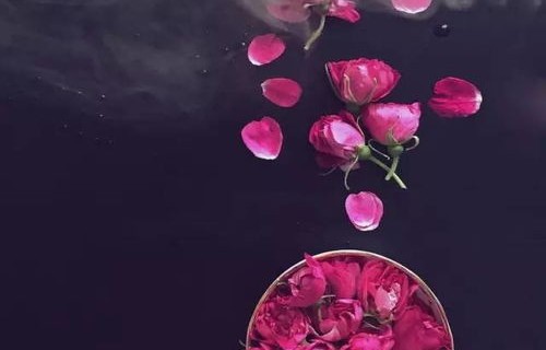 草木人生之戏梦80集，柯以的舞台与人生