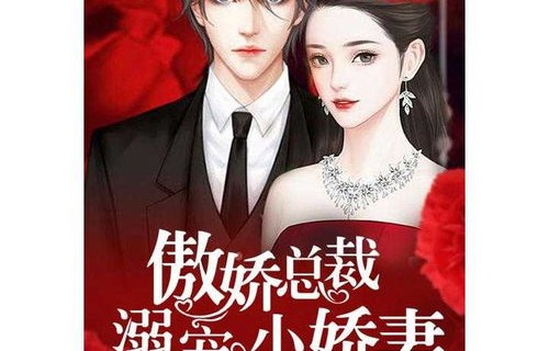 短剧陆总的替嫁小娇妻——一场错综复杂的爱情故事