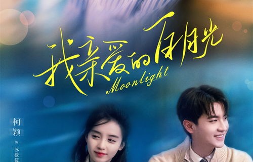 短剧中的甜蜜娇宠