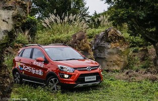 新能源汽车suv排行榜(新能源车suv排名前十名)