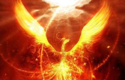 短剧凤凰涅槃——81集的传奇重生