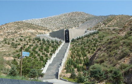 娃公交奇遇，巨幅海报上的自我发现