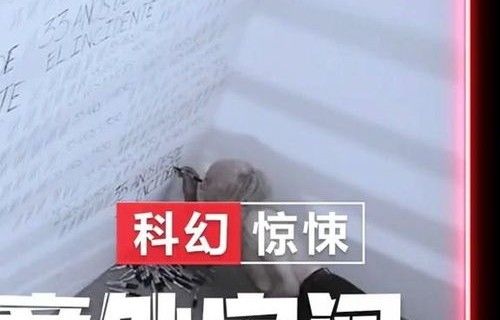 短剧时间循环——68集的无限可能