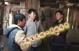 短剧我带老板去复仇