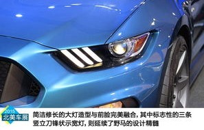 福特野马gt(福特野马gt350多少钱)