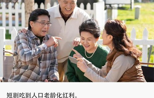 葛晓希的二婚之路，豪门短剧的79集人生