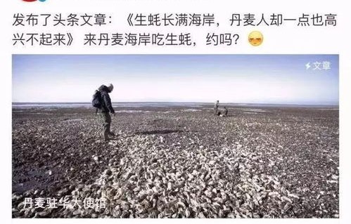 马士尧的短剧之旅，从你就不要想起我到用尽一切奔向你的81集旅程