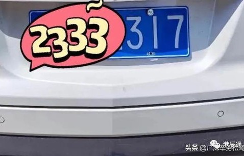 12123输入车牌号查违章(12123查车牌号码)